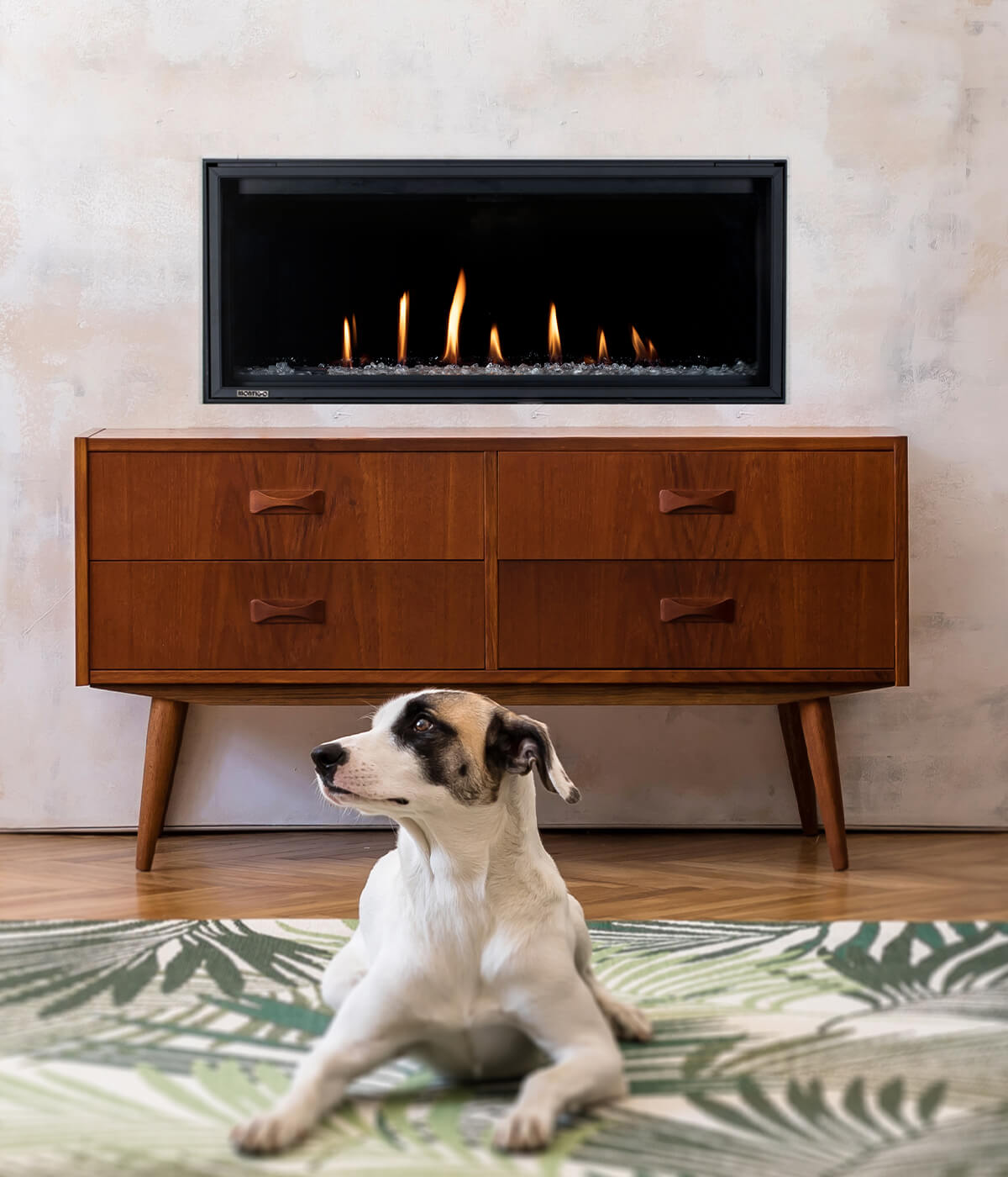 Montigo DelRay Modern Residential Gas Fireplace | DRL3613